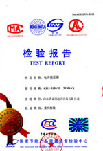 黔西南电力变压器检测报告